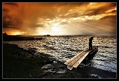 Landscapes